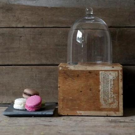 Mini Cloche Dome - Image 3