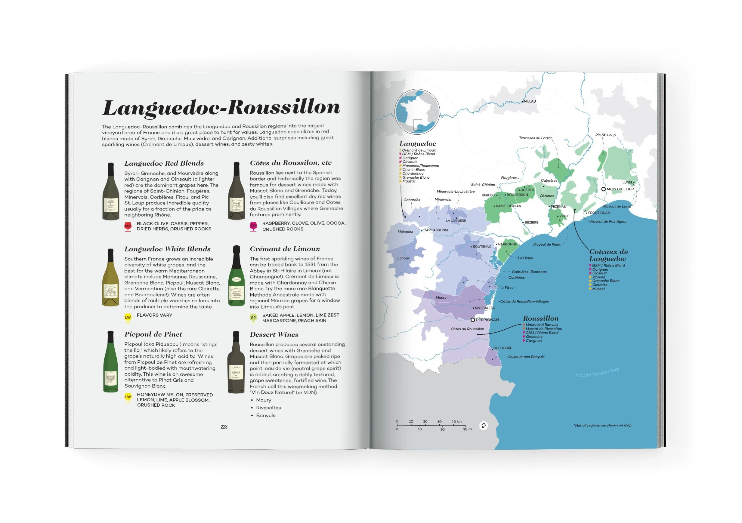 Wine Folly: Magnum Edition: The Master Guide - Image 4