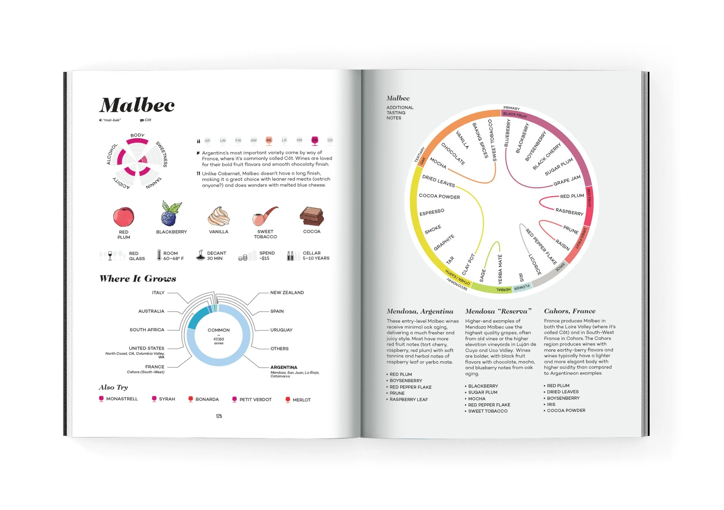 Wine Folly: Magnum Edition: The Master Guide - Image 5