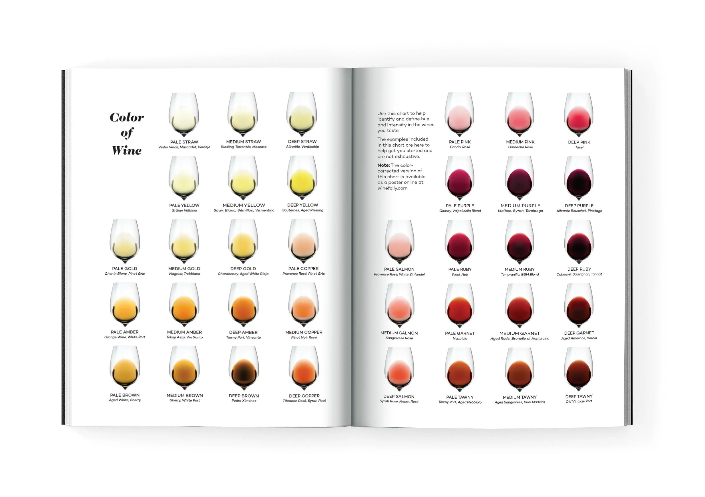 Wine Folly: Magnum Edition: The Master Guide - Image 6